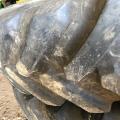 BKT VF 380/85R38 Agrimax Spargo Rowcrops