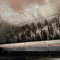 Case 8230 AFS Axial Flow - Only 1015 & 1592 hrs